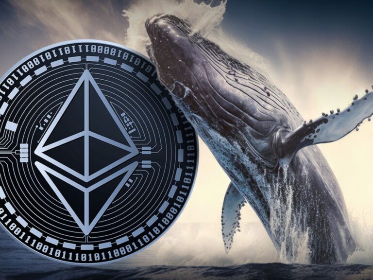 Ethereum Whales Surge Amid ETF Hype: What It Means for Crypto Traders