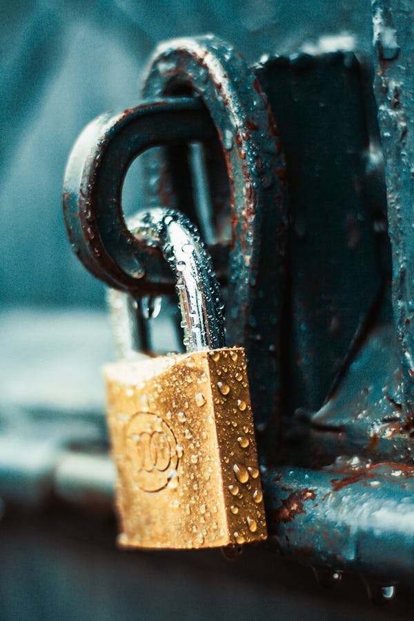 Uncovering Blockchain Security Vulnerabilities in Zero-Knowledge Projects