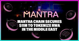 “فتح المستقبل: كيف يقوم MANTRA بتحويل الأصول الحقيقية إلى رموز رقمية”